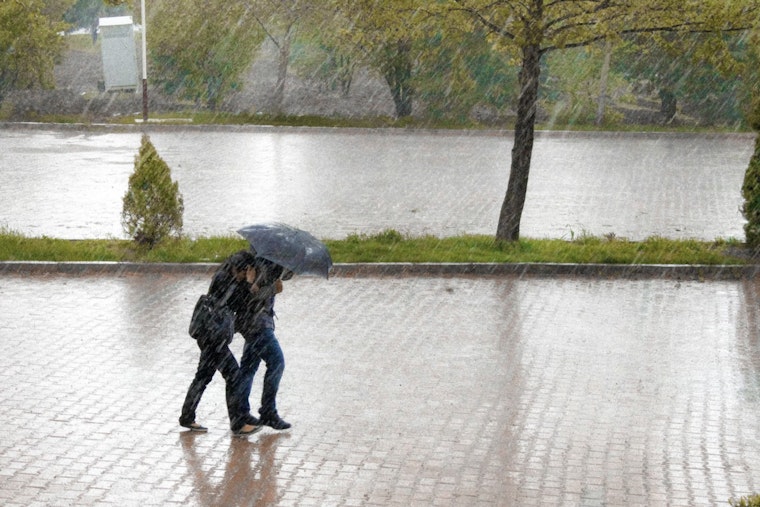 Raleigh Wakes Up Wet, Sun-Soaked and Wind-Whipped by Afternoon