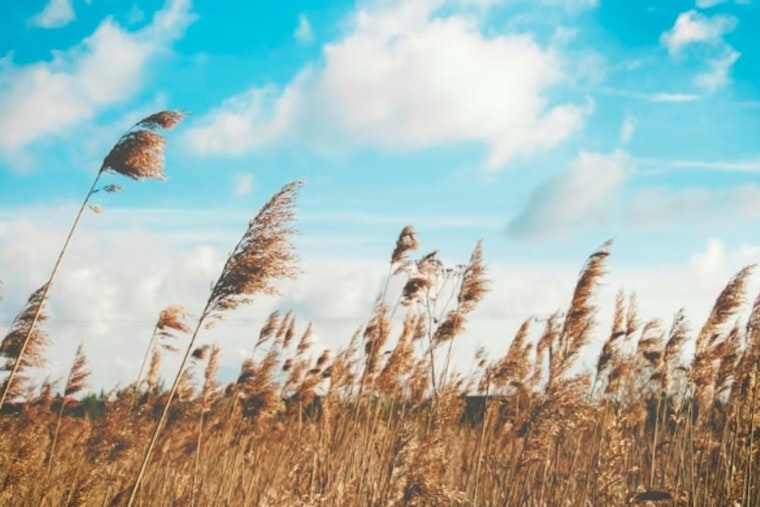 Red Flag Fire Alert Has Baton Rouge on Edge