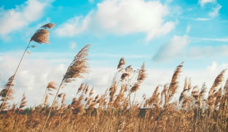 Red Flag Fire Alert Has Baton Rouge on Edge