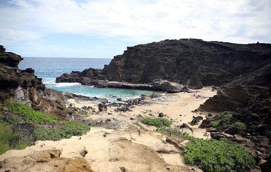Rescuers Battle Rough Surf to Save 28-Year-Old at Eternity Beach