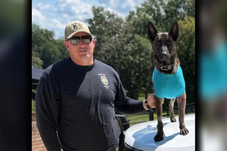 Rock Hill K-9 Stabbing Ends With Eight Years Behind Bars
