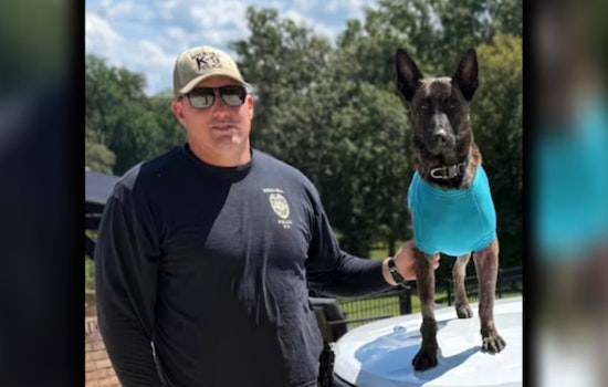 Rock Hill K-9 Stabbing Ends With Eight Years Behind Bars