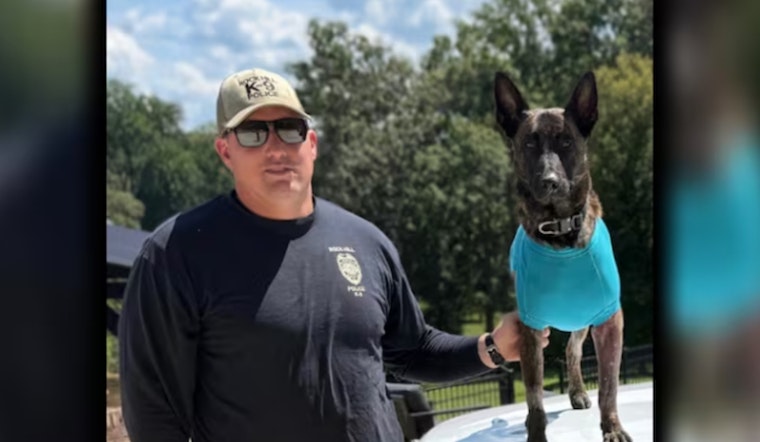 Rock Hill K-9 Stabbing Ends With Eight Years Behind Bars