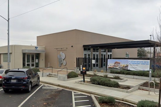 Roseville Pets Get $12.5 Million Lifeline As Placer SPCA Opens New Vet Center
