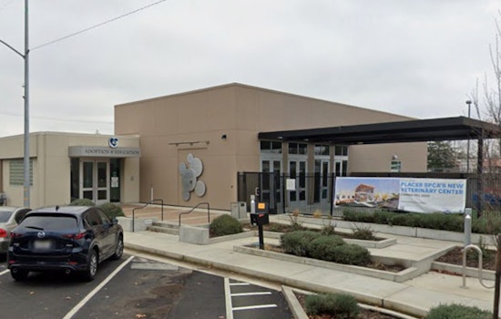 Roseville Pets Get $12.5 Million Lifeline As Placer SPCA Opens New Vet Center