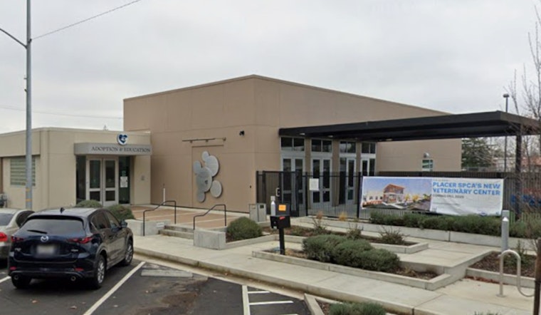 Roseville Pets Get $12.5 Million Lifeline As Placer SPCA Opens New Vet Center