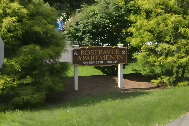 Rostraver Shih Tzu Found Near Death In Frigid Apartment, Two Women Charged