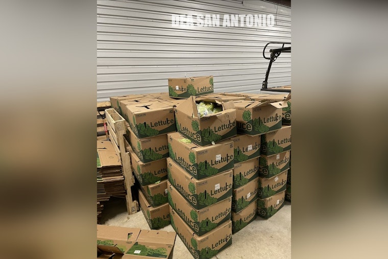 Salad Days Over as San Antonio Team Nabs 1,200 Pounds of Meth in Lettuce Load
