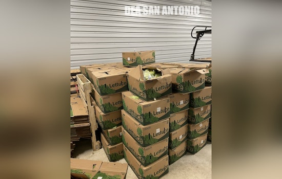 Salad Days Over as San Antonio Team Nabs 1,200 Pounds of Meth in Lettuce Load