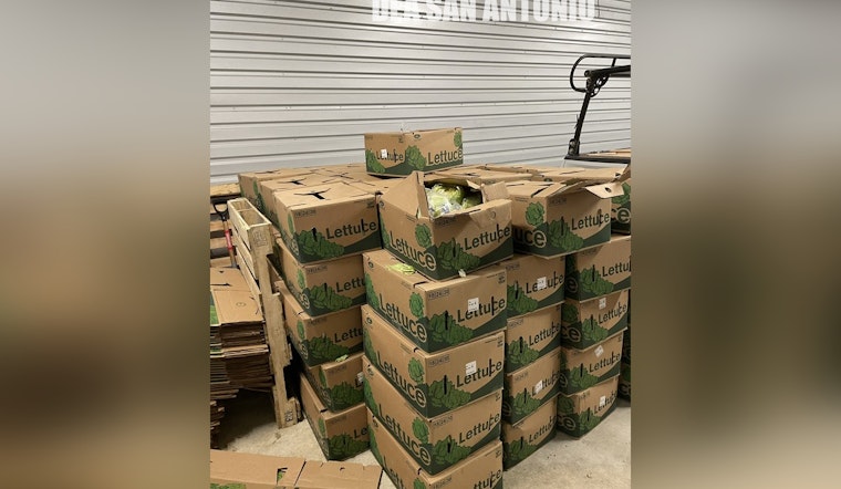 Salad Days Over as San Antonio Team Nabs 1,200 Pounds of Meth in Lettuce Load