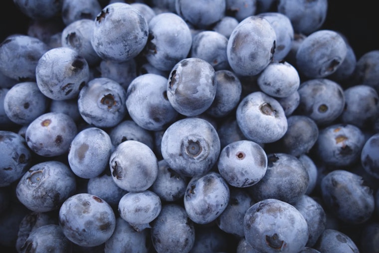 Salem Blueberry Giant Yanks 55,000 Pounds Over Listeria Scare