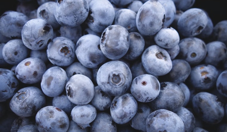 Salem Blueberry Giant Yanks 55,000 Pounds Over Listeria Scare