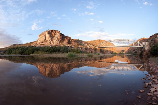 Salt River’s Beloved Wild Horses Facing Cutbacks And Sanctuary Send-Offs