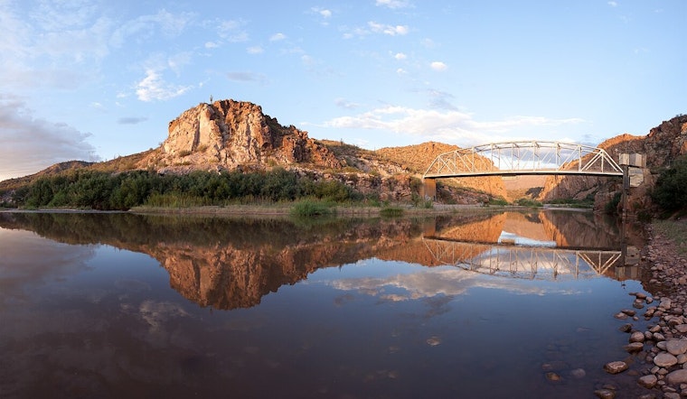 Salt River’s Beloved Wild Horses Facing Cutbacks And Sanctuary Send-Offs