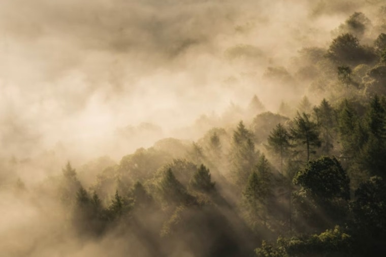San Antonio Wakes In Fog, Braces For Weekend Fire Danger