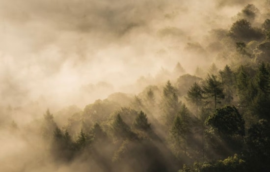 San Antonio Wakes In Fog, Braces For Weekend Fire Danger