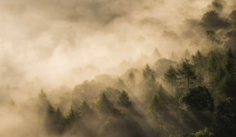 San Antonio Wakes In Fog, Braces For Weekend Fire Danger