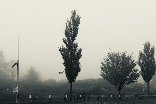 Alamo City Wakes In A Fog, Clears Out Before Weekend Storms
