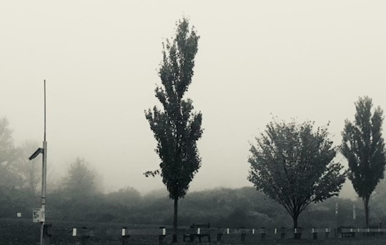 Alamo City Wakes In A Fog, Clears Out Before Weekend Storms