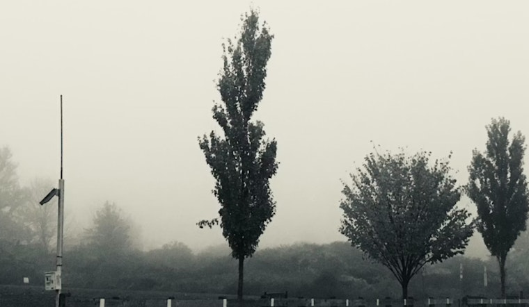 Alamo City Wakes In A Fog, Clears Out Before Weekend Storms