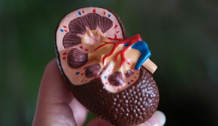 San Diego Biotech’s ‘Molecular Glue’ Hits First Kidney Cancer Patient