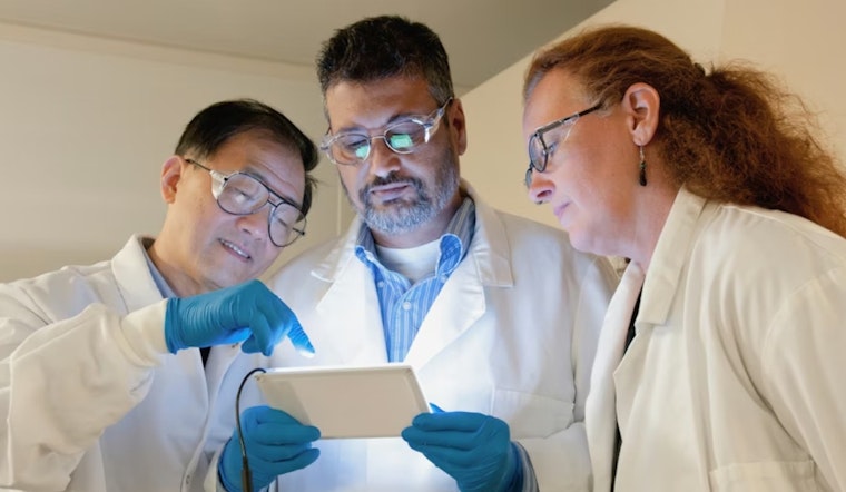 San Francisco’s Sudsy Secret: Scientists Say Disinfectant Chemicals Are Menacing The Bay