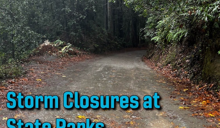Santa Cruz Redwoods Lock Up as Fierce Pacific Storm Roars In