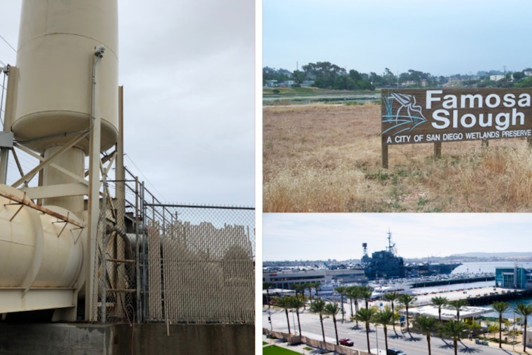 Sara Jacobs Drops $14 Million Cash Surge On San Diego Projects