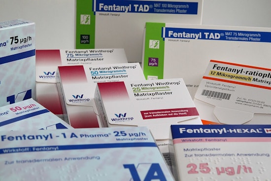 Scorpion Baggies Near School Jolt West Oahu as Fentanyl Toll Stays High