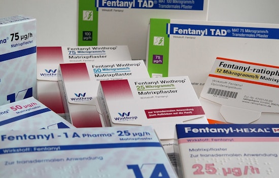 Scorpion Baggies Near School Jolt West Oahu as Fentanyl Toll Stays High