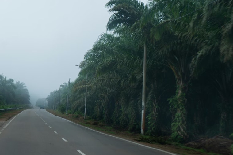 Seattle's Split-Personality Forecast as Foggy Dawn, Patio-Ready Afternoons