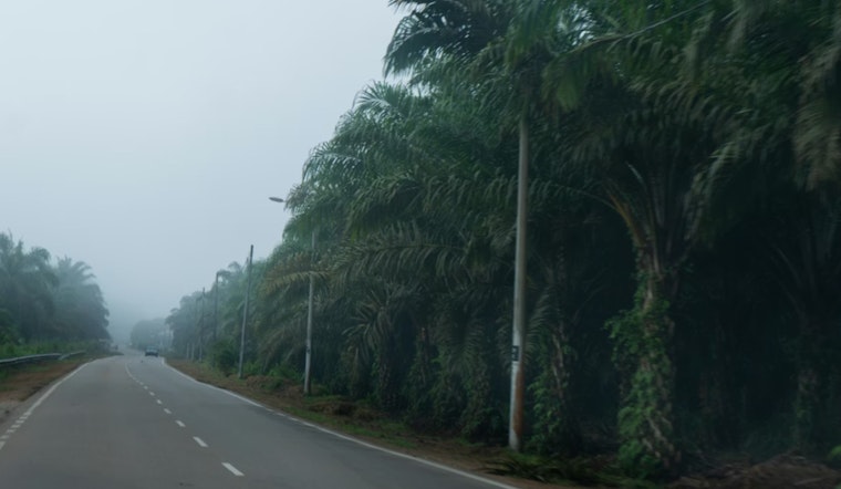 Seattle's Split-Personality Forecast as Foggy Dawn, Patio-Ready Afternoons