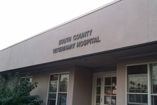 Selma Vet’s License Pulled After Inspectors Find Dead Puppies In Freezer