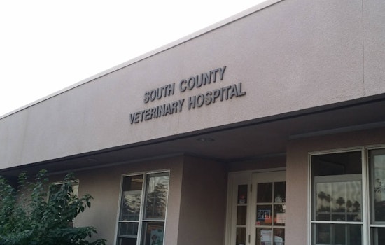 Selma Vet’s License Pulled After Inspectors Find Dead Puppies In Freezer