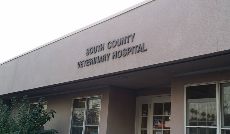 Selma Vet’s License Pulled After Inspectors Find Dead Puppies In Freezer