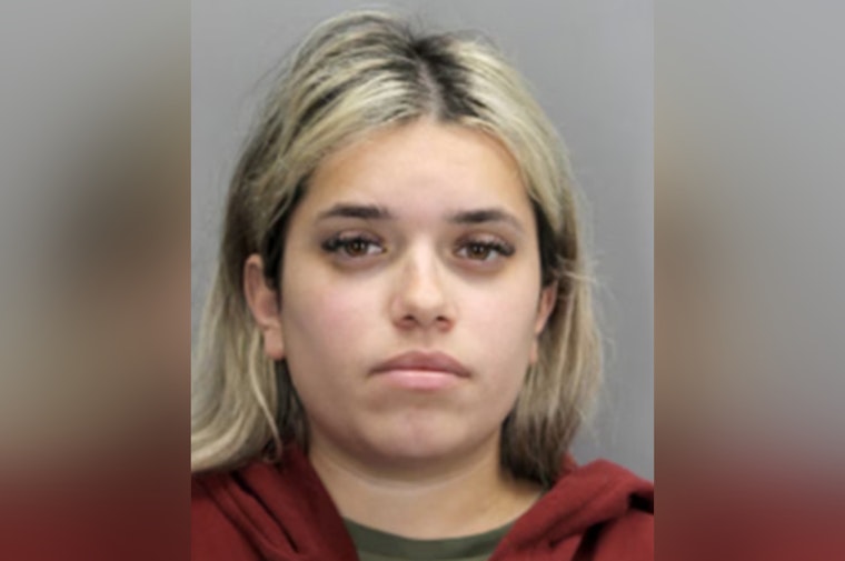Sentencing Looms for Fairfax County Double Murder Case Au Pair, Judge to Decide Fate Amid "Sweetheart Deal" Controversy