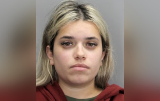Sentencing Looms for Fairfax County Double Murder Case Au Pair, Judge to Decide Fate Amid "Sweetheart Deal" Controversy
