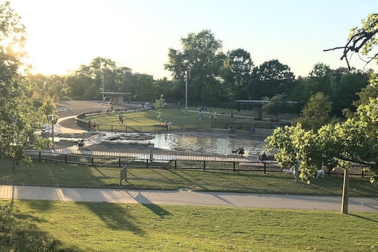 Family’s Small Pup Mauled To Death At Johnny Steele Dog Park As Owner Walks Off