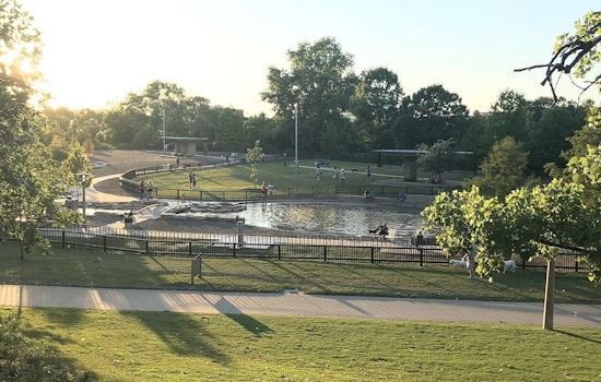 Family’s Small Pup Mauled To Death At Johnny Steele Dog Park As Owner Walks Off