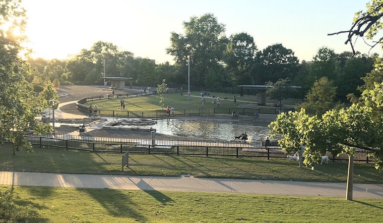 Family’s Small Pup Mauled To Death At Johnny Steele Dog Park As Owner Walks Off