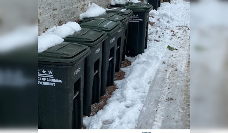 Snow Turns D.C. Alleys Into Trash Traps As Pickups Stall For Weeks