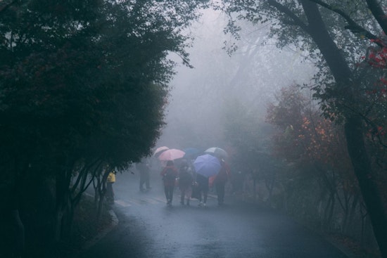 Soggy Sunday Brings Rain, Fog and High-Tide Flooding to Seattle