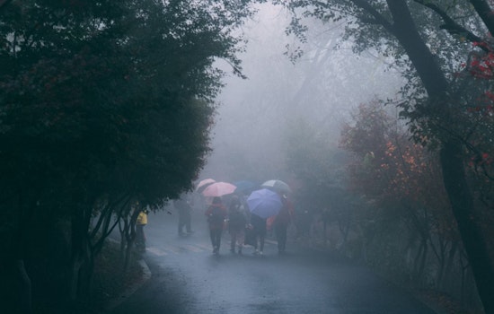 Soggy Sunday Brings Rain, Fog and High-Tide Flooding to Seattle