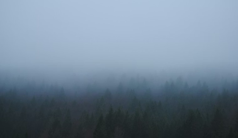 Sonoma-Napa Weather: Fog, Mild Afternoon, Coastal Flood Advisory