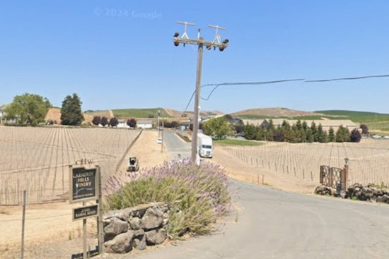 Sonoma Shock: Carneros Winery Shutdown Becomes Fourth Big Wine Layoff