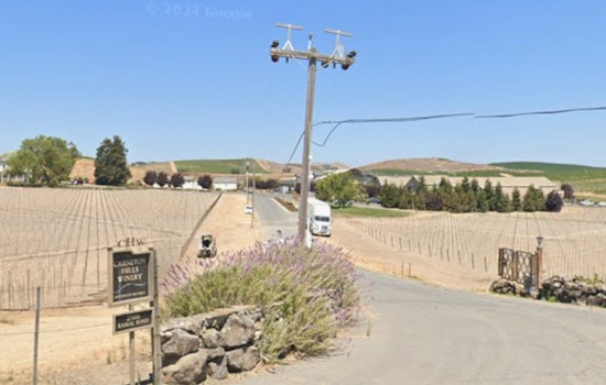 Sonoma Shock: Carneros Winery Shutdown Becomes Fourth Big Wine Layoff