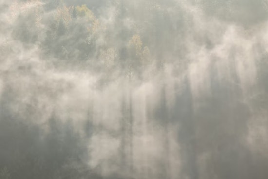 South Bay Wakes to Soup-Thick Fog, Then San Jose Sizzles in 70s Sun
