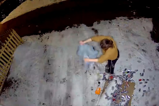 South Milwaukee Police Seek Public's Help to Identify Suspect in Vandalism Spree on Minnesota Avenues