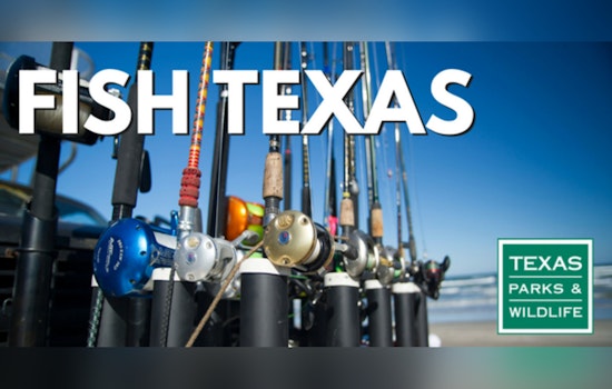 South Padre Stinks as Cold Snap Carpets Laguna Madre With Dead Fish