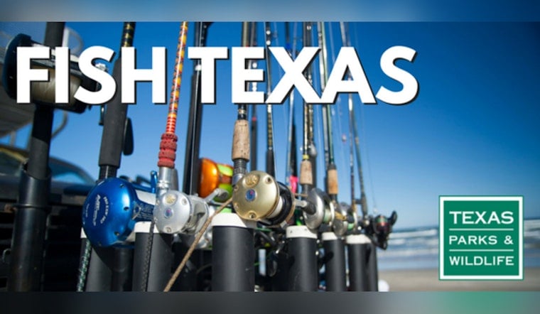 South Padre Stinks as Cold Snap Carpets Laguna Madre With Dead Fish
